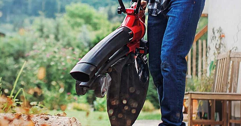 Do Leaf Vacuums Work on Wet Leaves: Truths You Must Know