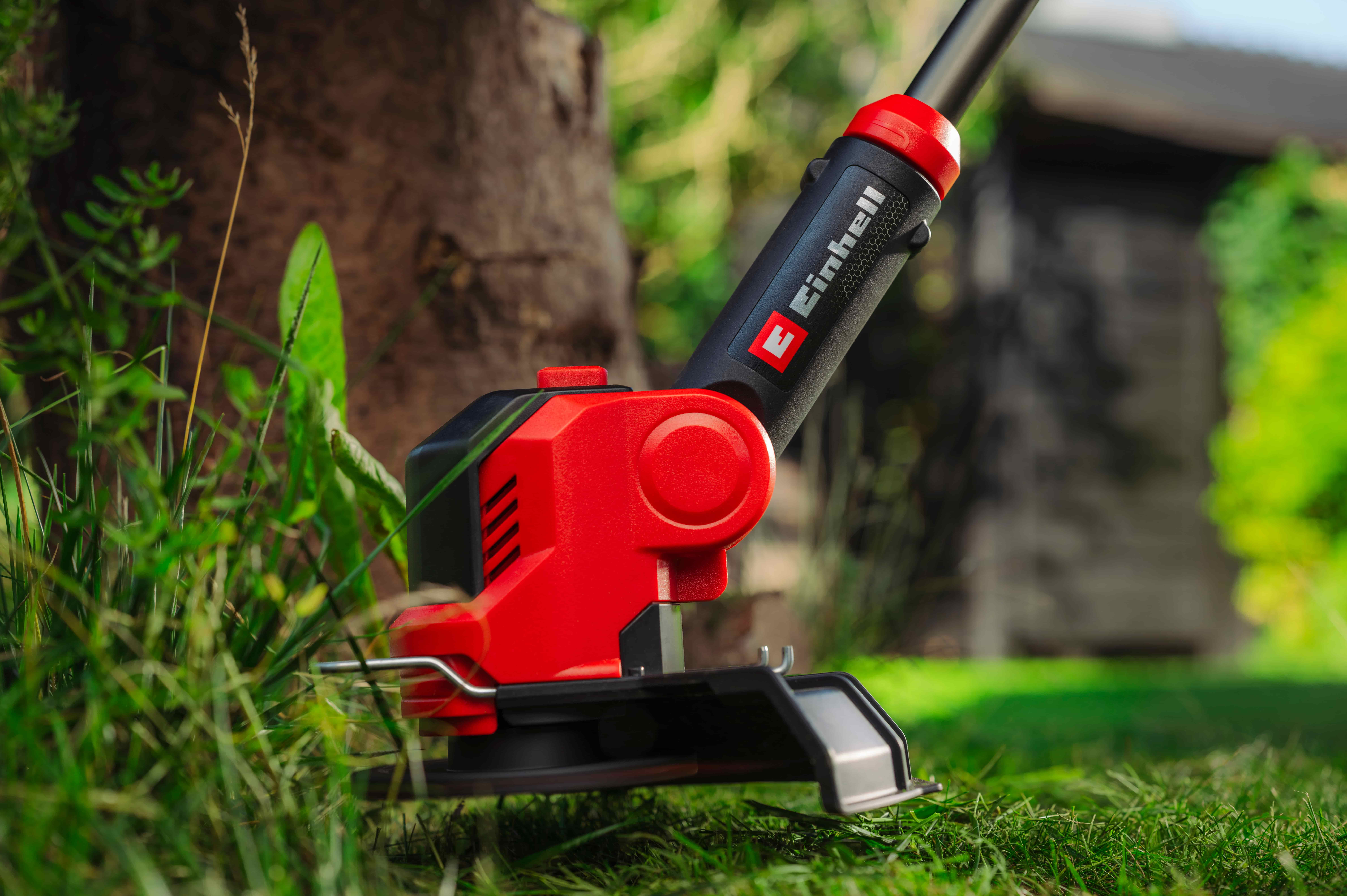 Einhell grass trimmer cutting grass around a tree in the garden.