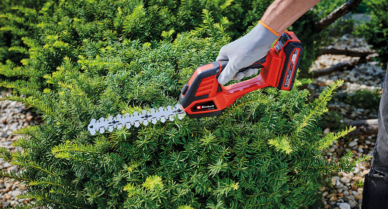 A person using the grass shear for a small tree